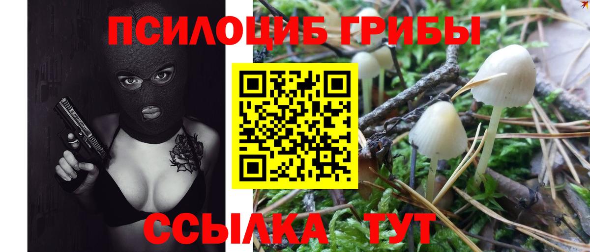 Галлюциногенные грибы Psilocybe  Вход с VPN  купить закладку  Коряжма 