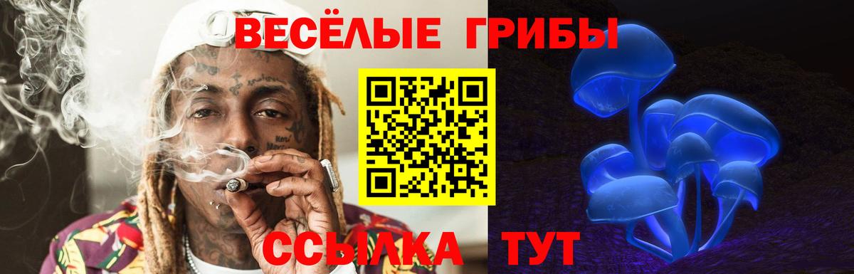Галлюциногенные грибы ЛСД Коряжма